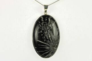 Polished Chrysanthemum Stone Pendant - Sterling Silver #279113