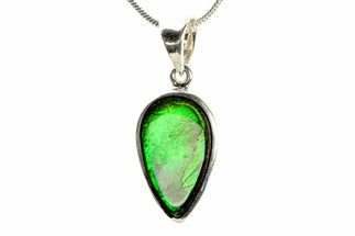 Stunning Ammolite Pendant (Necklace) - Sterling Silver #280065