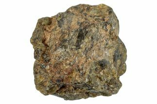 Chondrite Meteorite Fragment ( g) - NWA #281081