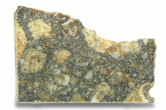 Lunar Meteorite Slice ( g) - NWA #280913