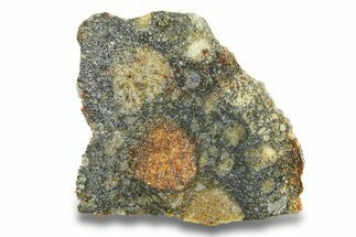 Lunar Meteorite Slice ( g) - NWA #280915