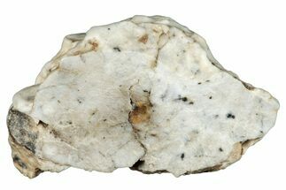 Aubrite Meteorite End Cut ( g) - Djoua #283669
