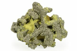 Golden Pyrite on Limonite Clay - Pakistan #283717