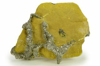 Golden Pyrite on Limonite Clay - Pakistan #283723
