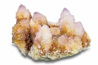 Cactus Quartz (Amethyst) Crystal Cluster - South Africa #283977