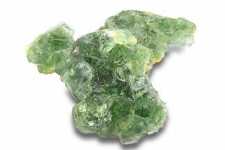 Deep Green Fluorite Cluster with Muscovite - Namibia #284015