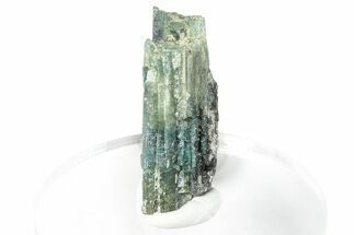 Colorful Tourmaline (Elbaite) Crystal - Leduc Mine, Quebec #284363