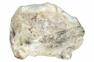 Aubrite Meteorite Fragment - Djoua #283643