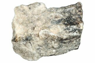 Aubrite Meteorite Fragment - Djoua #283646