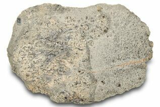 Eucrite Meteorites For Sale