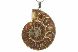 Fossil Ammonite Pendant - Million Years Old #284881