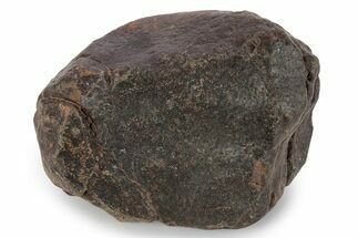 Chondrite Meteorite ( g) - Western Sahara Desert #285427