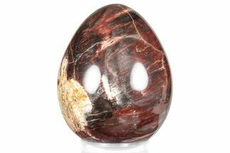 Colorful, Polished Petrified Wood Egg - Madagascar #286064