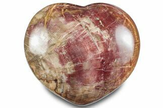 Polished Triassic Petrified Wood Heart - Madagascar #286172