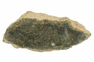 Polished Howardite Meteorite Section ( g) - Bechar #286967