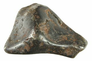 Canyon Diablo Iron Meteorite ( g) - Arizona #287705