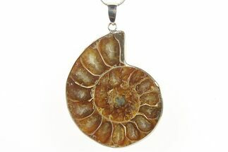 Fossil Ammonite Pendant - Million Years Old #288025