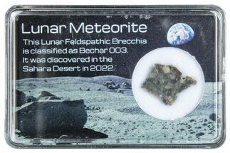Polished Lunar Meteorite Slice ( g) - Bechar #288438