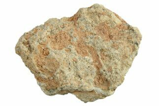 Lunar Meteorite ( g) - Bechar #288466