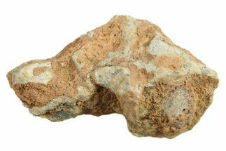 Lunar Meteorite ( g) - Bechar #288468
