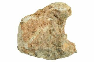 Lunar Meteorite ( g) - Bechar #288470
