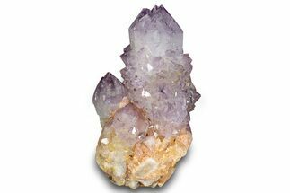 Spectacular Cactus Amethyst Crystal Cluster - South Africa #289805