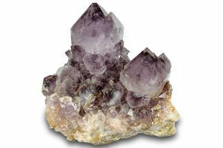 Spectacular Cactus Amethyst Crystal Cluster - South Africa #289823