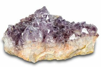 Deep-Purple Cactus Amethyst Crystal Cluster - South Africa #289831