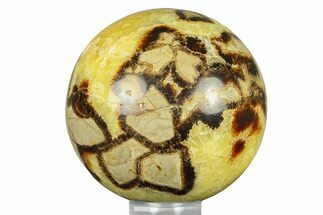 Polished Septarian Sphere - Madagascar #289926