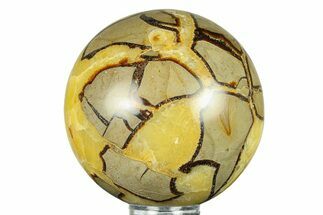 Polished Septarian Sphere - Madagascar #289928