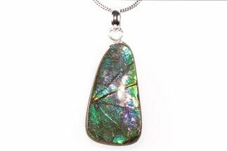 Brilliant Ammolite Pendant (Necklace) - Alberta, Canada #290107