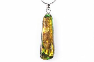 Brilliant Ammolite Pendant (Necklace) - Alberta, Canada #290109