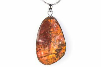 Brilliant Ammolite Pendant (Necklace) - Alberta, Canada #290110