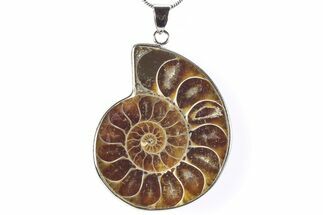 Fossil Ammonite Pendant - Million Years Old #290168