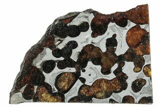 Polished Sericho Pallasite Meteorite ( g) Slice - Kenya #291272