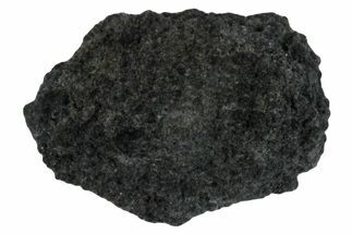 Carbonaceous Chondrite Meteorite Fragment ( g) - NWA #291370