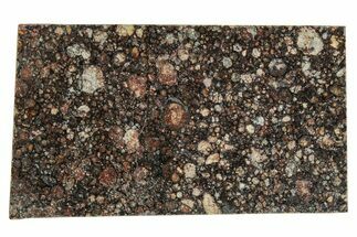 LL Chondrite Meteorite ( g) Slice - NWA #291382