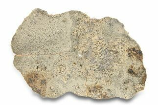 Eucrite Meteorite Slice ( g) - Jikharra #284800
