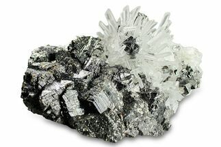 Clear Quartz Crystals on Sphalerite - Peru #291027