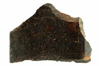 Polished Rafsa Angrite Meteorite Slice ( g) - Algeria #291767