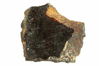 Polished Rafsa Angrite Meteorite Slice ( g) - Algeria #291770