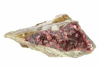 Fibrous, Magenta Erythrite Cluster - Morocco #291161