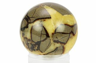 Polished Septarian Sphere - Madagascar #289954