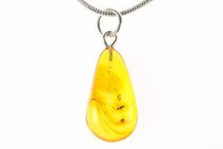 Polished Baltic Amber Pendant (Necklace) - Contains Fly & Mite! #288883