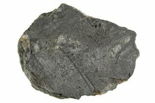 Eucrite Meteorites For Sale