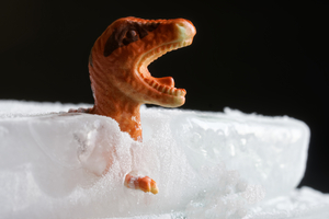 Dinosaurs: Cold-Blooded Or Warm-Blooded?