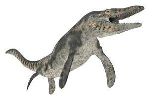 How Large Did Mosasaurs Get?