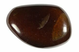 Tumbled Indonesian Blue Amber (3/4" Size) - Fluorescent