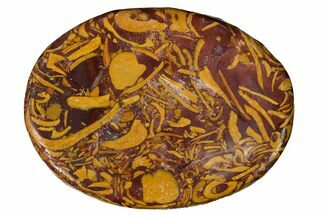 1.5" Polished Miriam Stone (Calligraphy Stone) Worry Stone