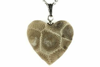 Polished, Heart Shaped Petoskey Stone (Fossil Coral) Necklaces